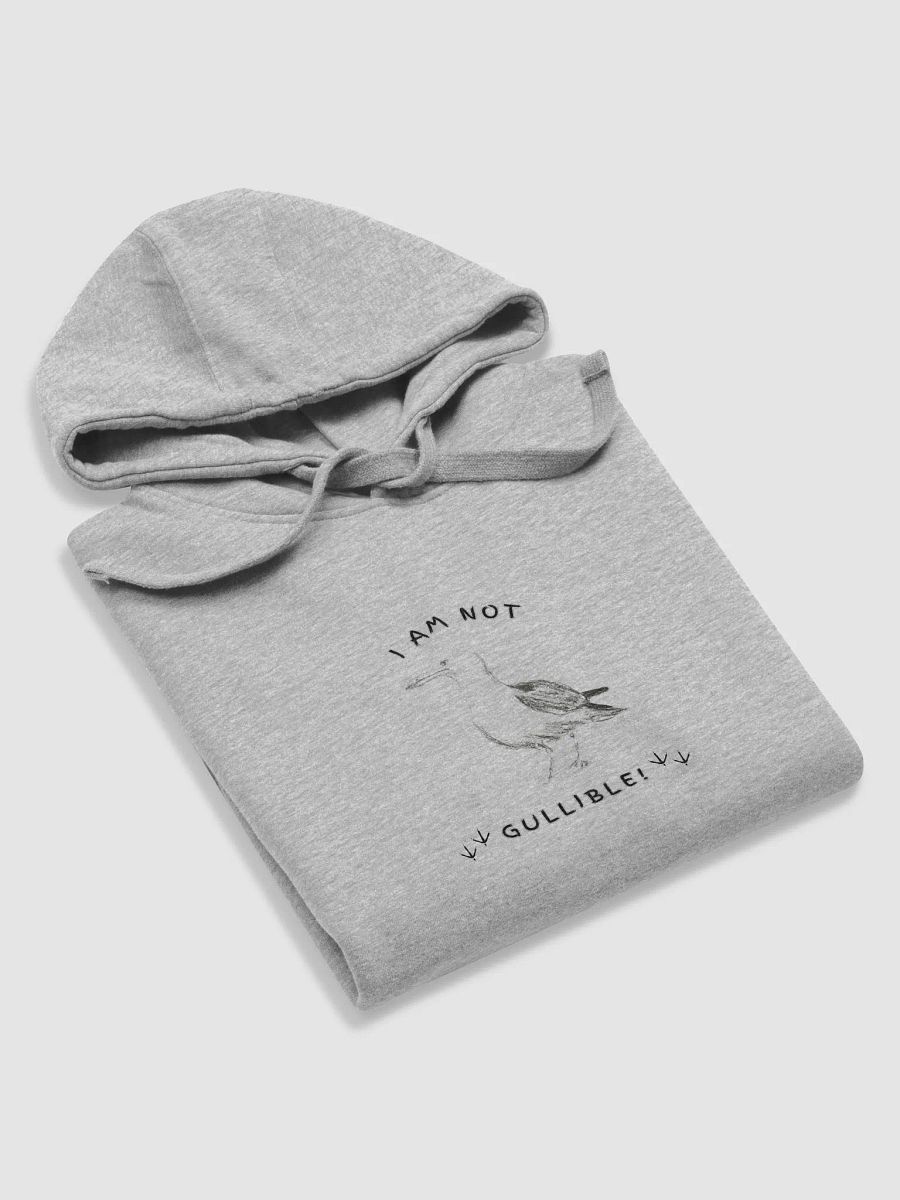 I am not Gullible Hoodie product image (10)