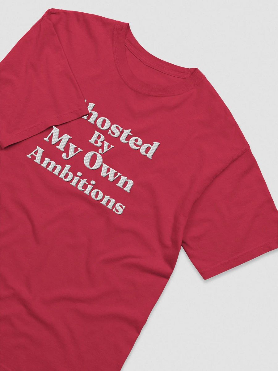 'Ghosted By My Own Ambitions' Embroidered Tee product image (38)