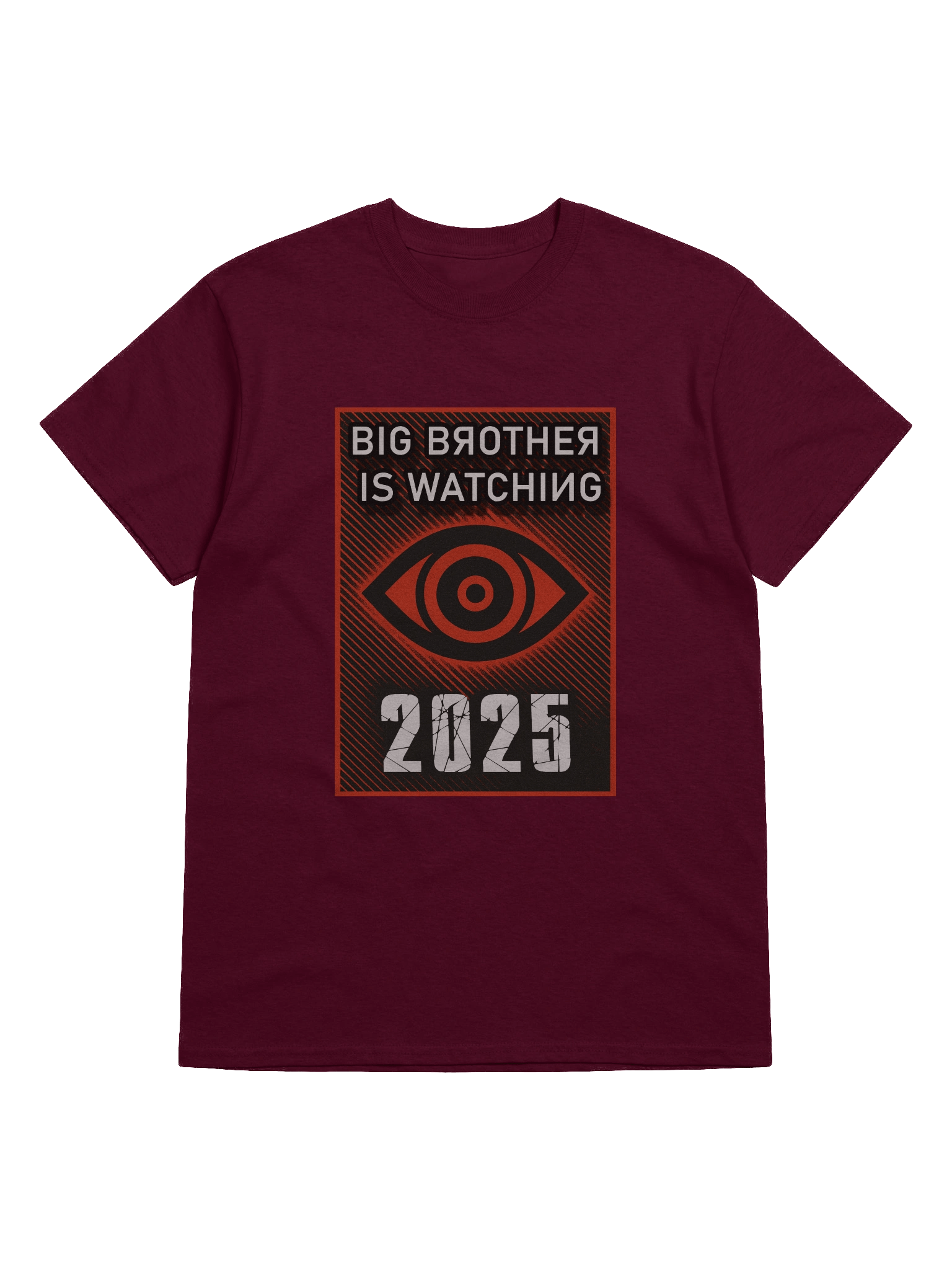 2025 Big Brother Is Watching Tee product image (4)