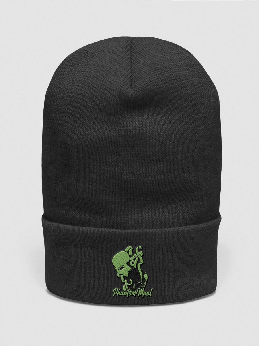 Kiwi Green Logo Beanie product image (1)
