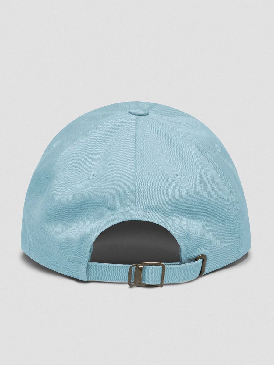 not a bottom dad hat product image (15)