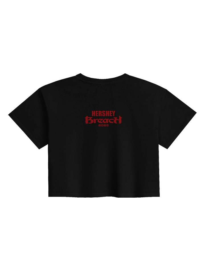 Breach Hersheypark Stadium Crop Top product image (2)