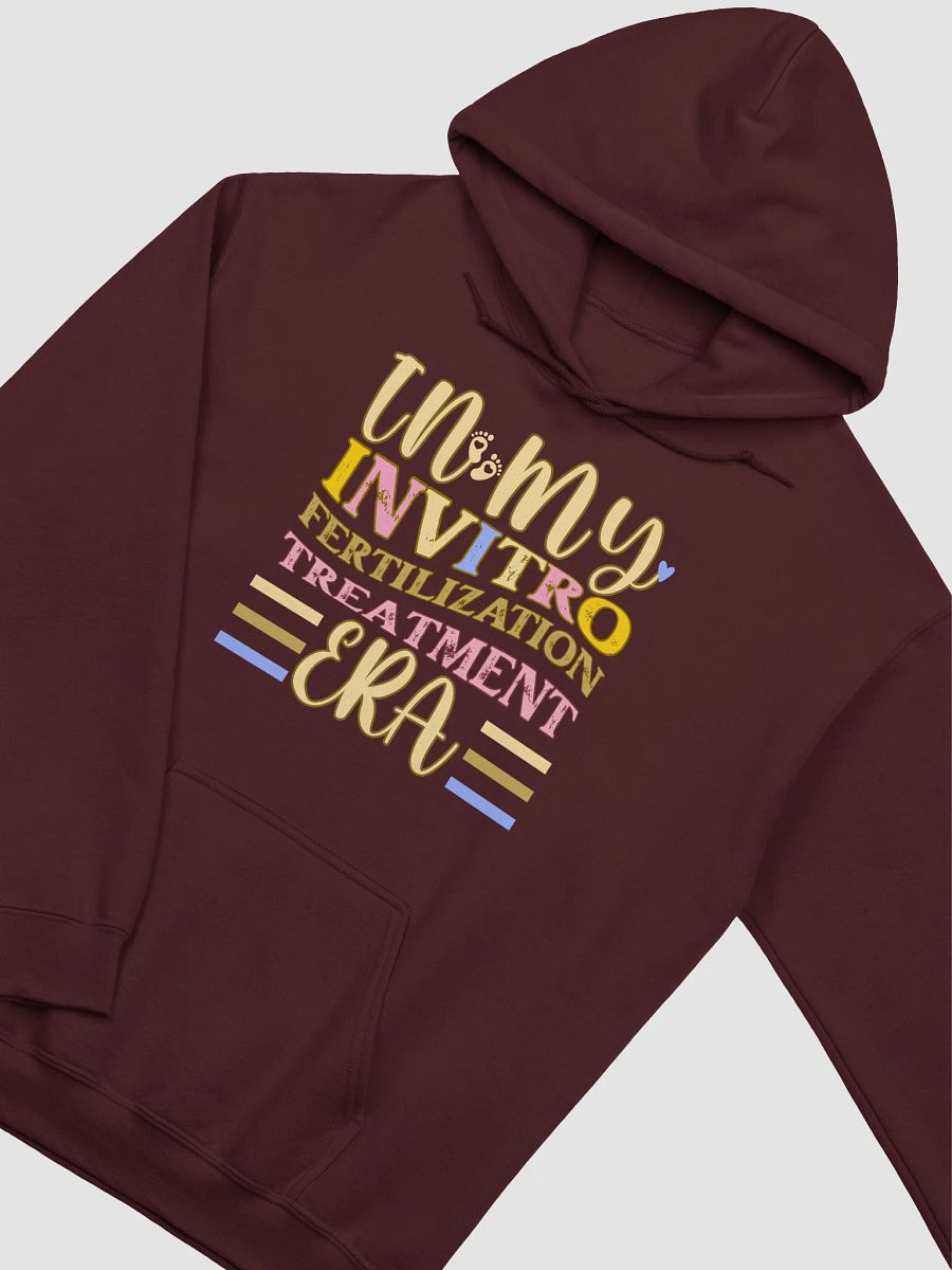 In My Invitro Fertilization Pregnancy Era, Gildan Hoodie product image (4)