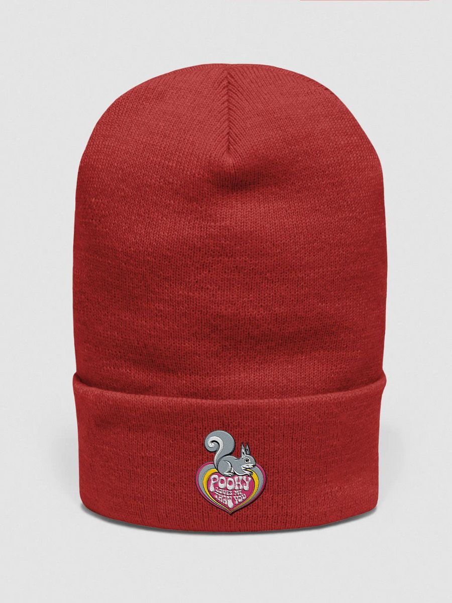 Pooky's Love Beanie product image (1)