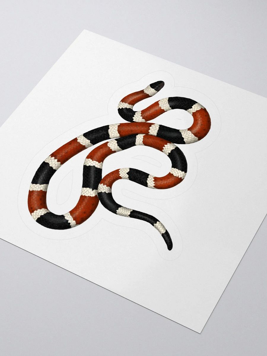 Die-Cut Sticker – Sonoran Coralsnake product image (3)