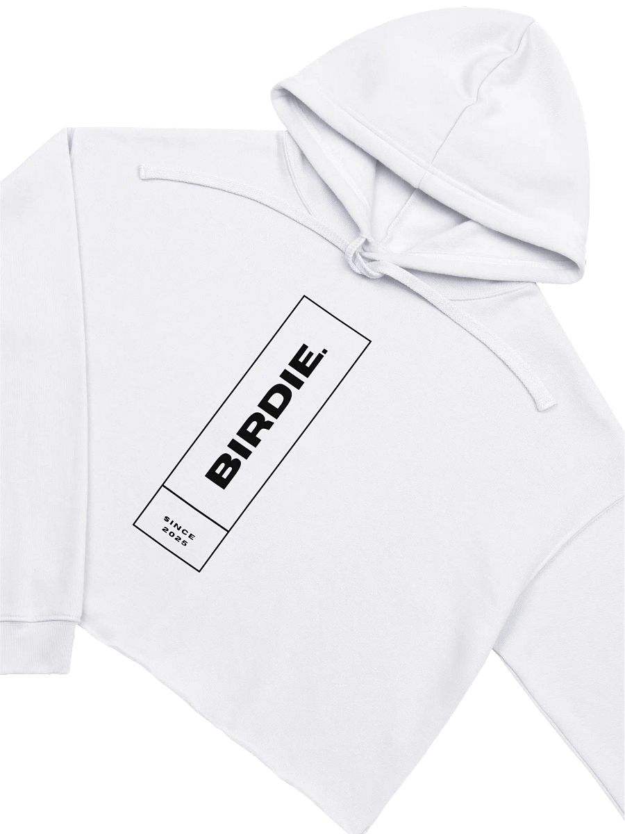 Birdie Vertical Crop Hoodie product image (15)