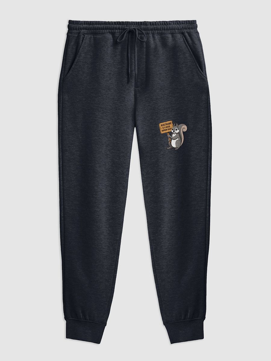 Activist Squirrel Fleece Joggers product image (1)