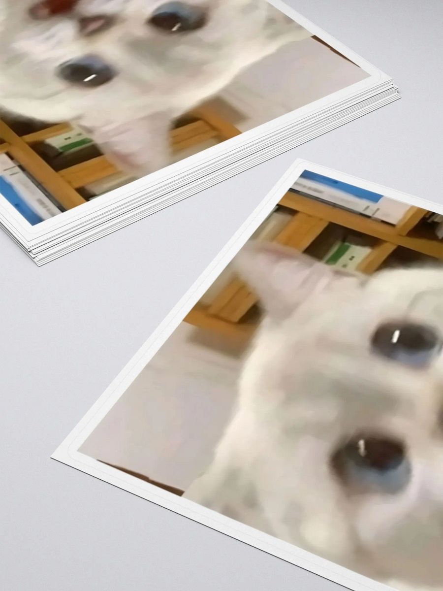 Kiss Cut Stickers: Meme Cats product image (4)
