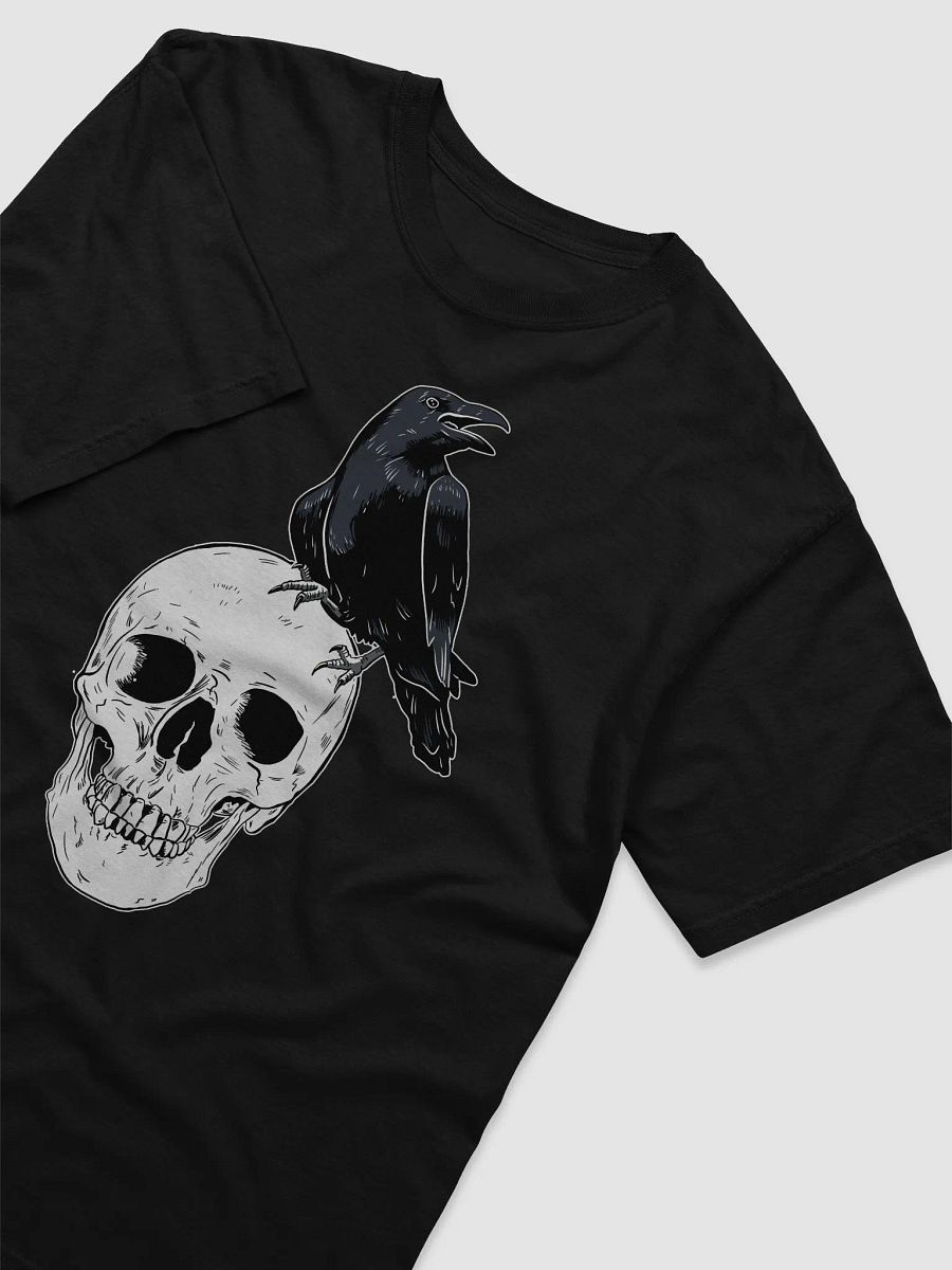 Raven on Skull product image (3)