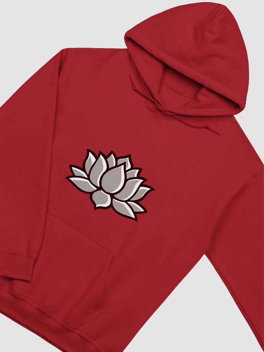 OG Sage Hoodie product image (3)