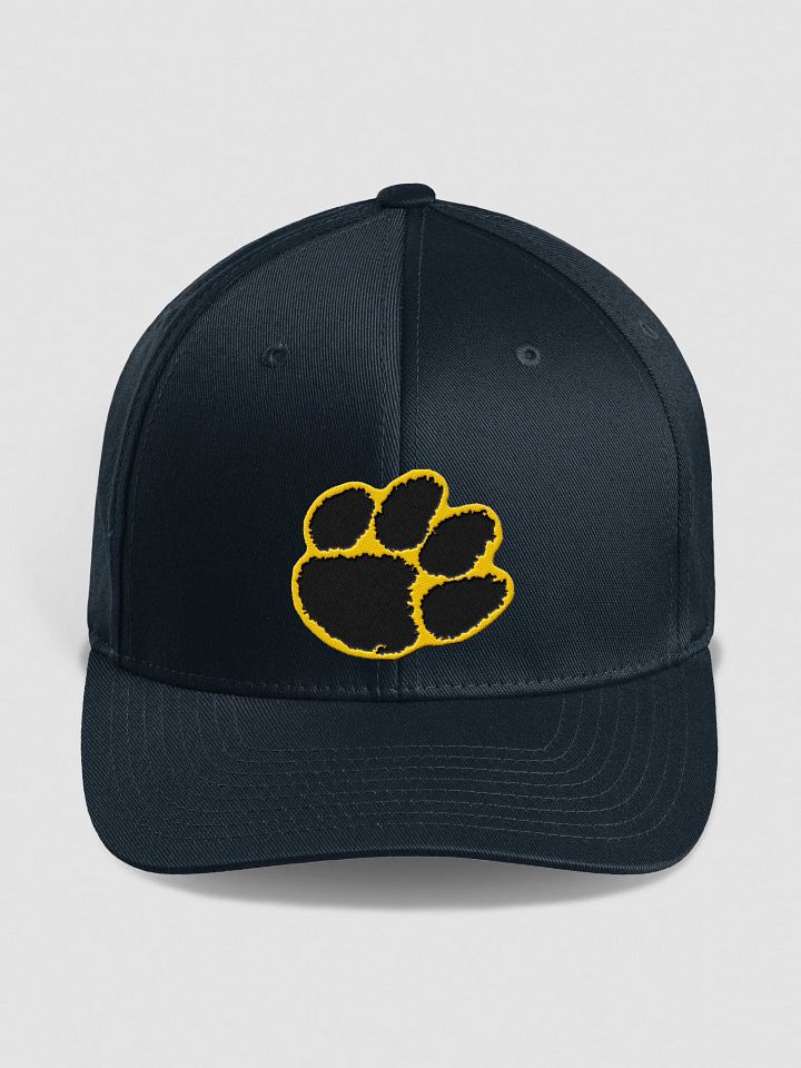 CHHS Tigers Structured product image (4)