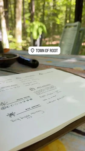 Quiet moments with the camp log.