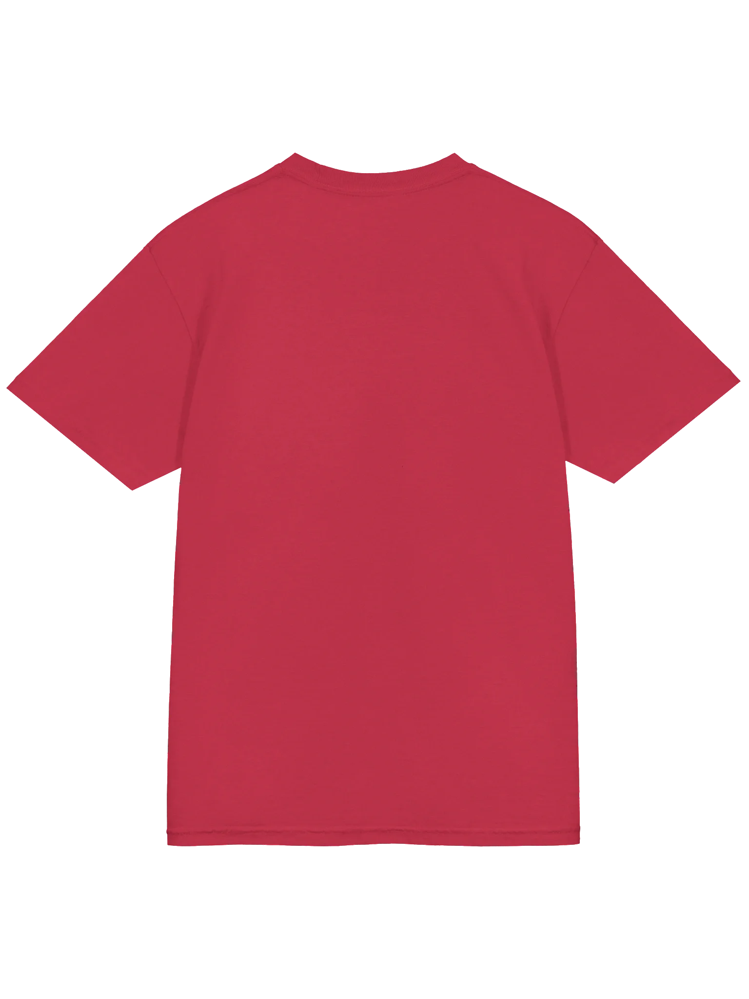 RR Heavyweight T-Shirt (bright colors) product image (4)