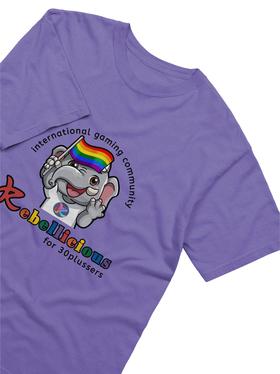 Comfort Colors Pride T-shirt product image (7)