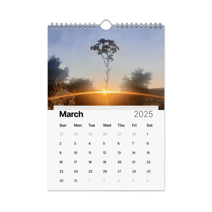 2025 Calendar product image (9)
