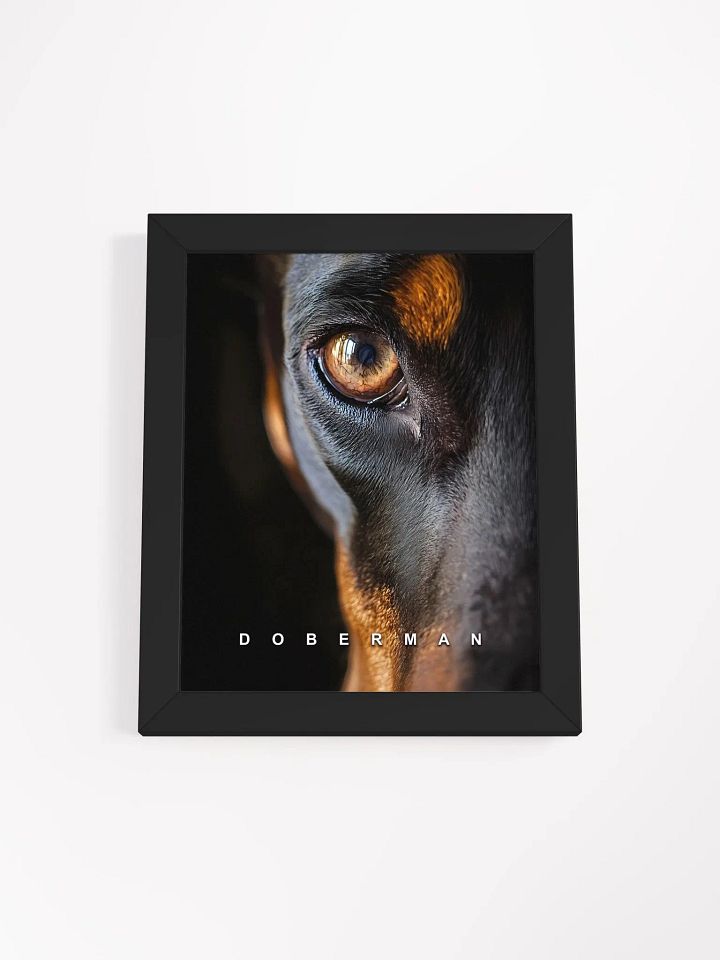 Doberman's Eye Matte Poster product image (2)