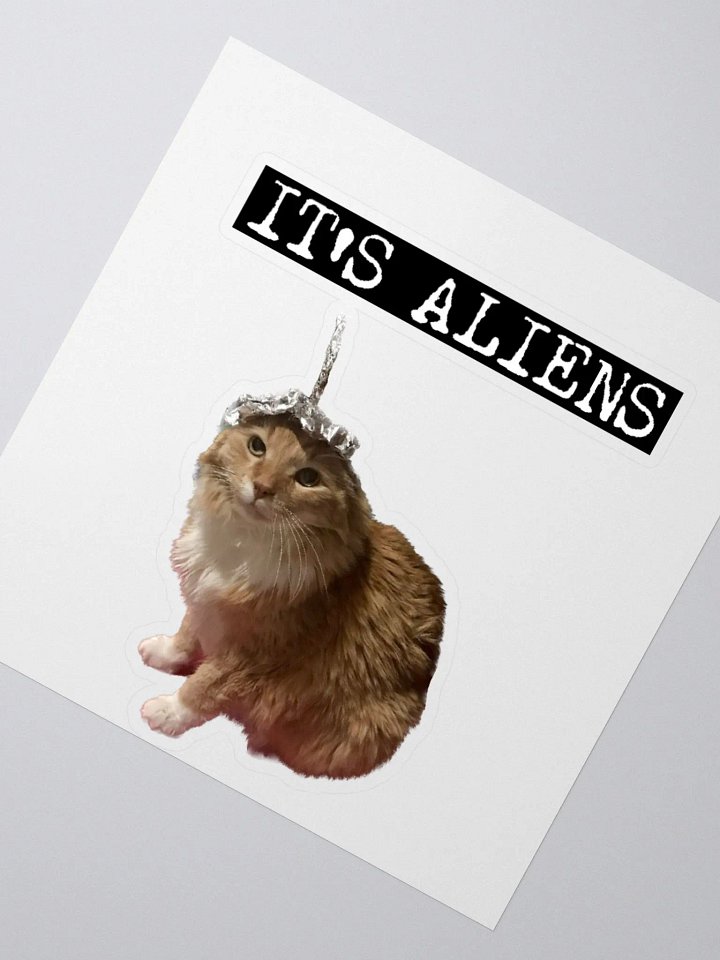 IT'S ALIENS Sticker product image (2)