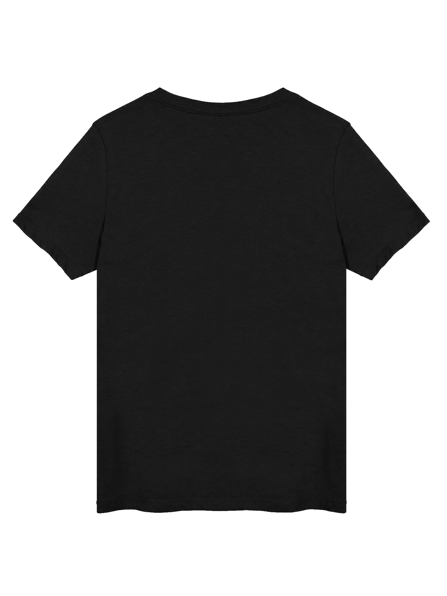 Sashas Signature V-Neck Tee product image (6)