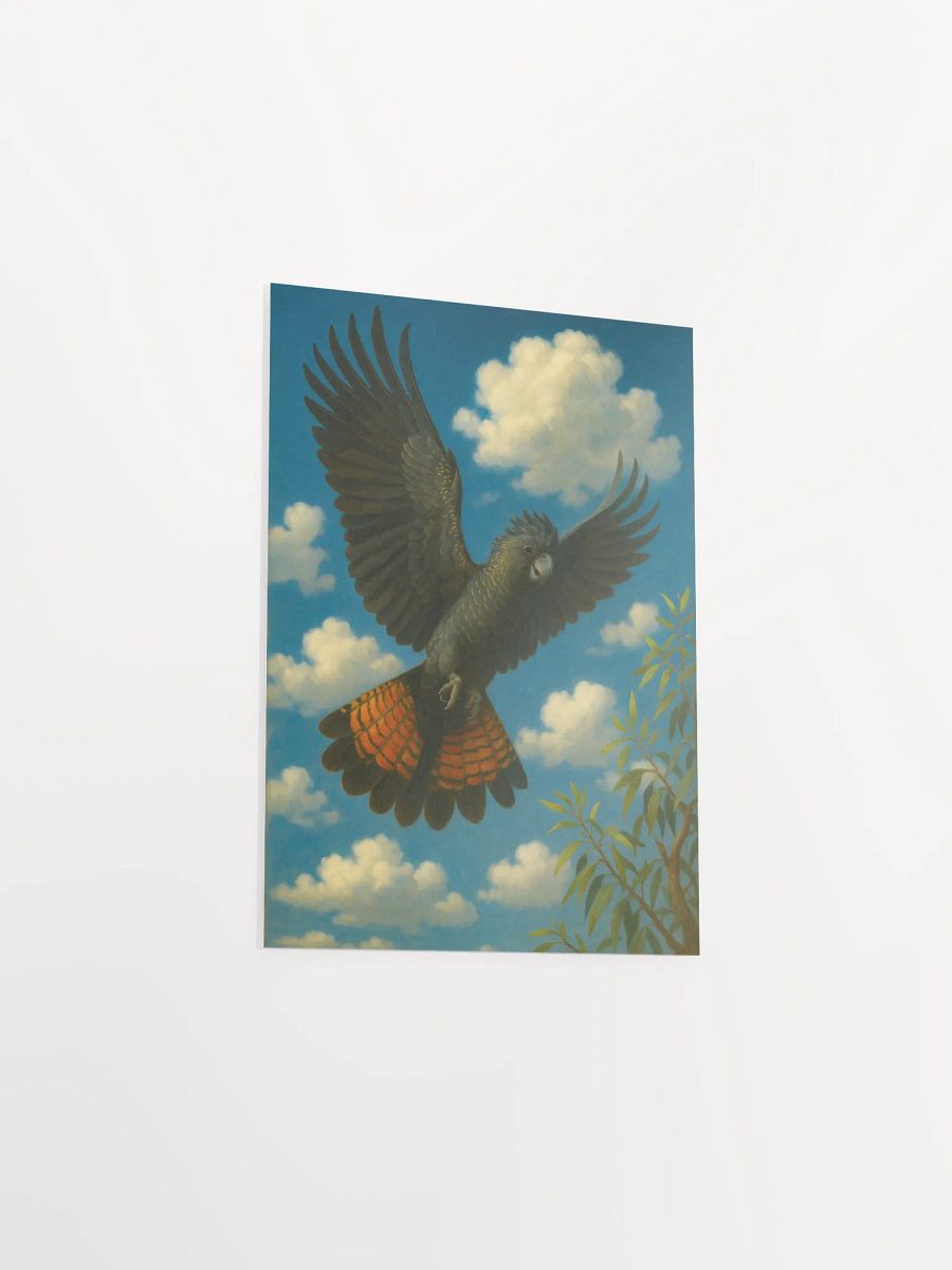 Red tailed black cockatoo. product image (9)