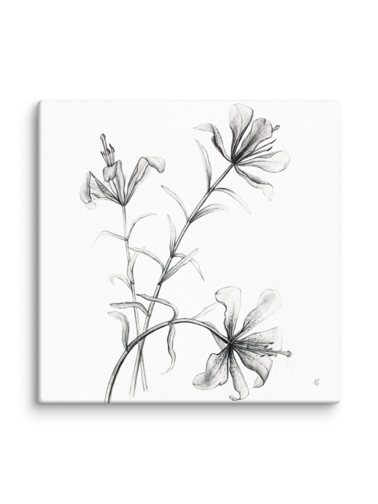 Blossom Canvas Collection - Wild Elegant Flowers product image (2)