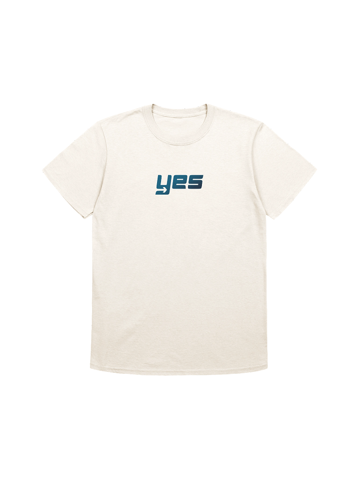 Say YES to what God has next product image (1)