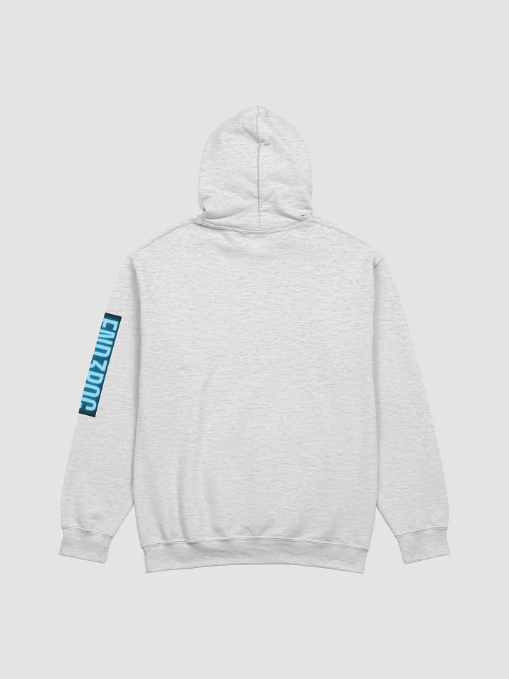 Raccoon hoodie product image (2)