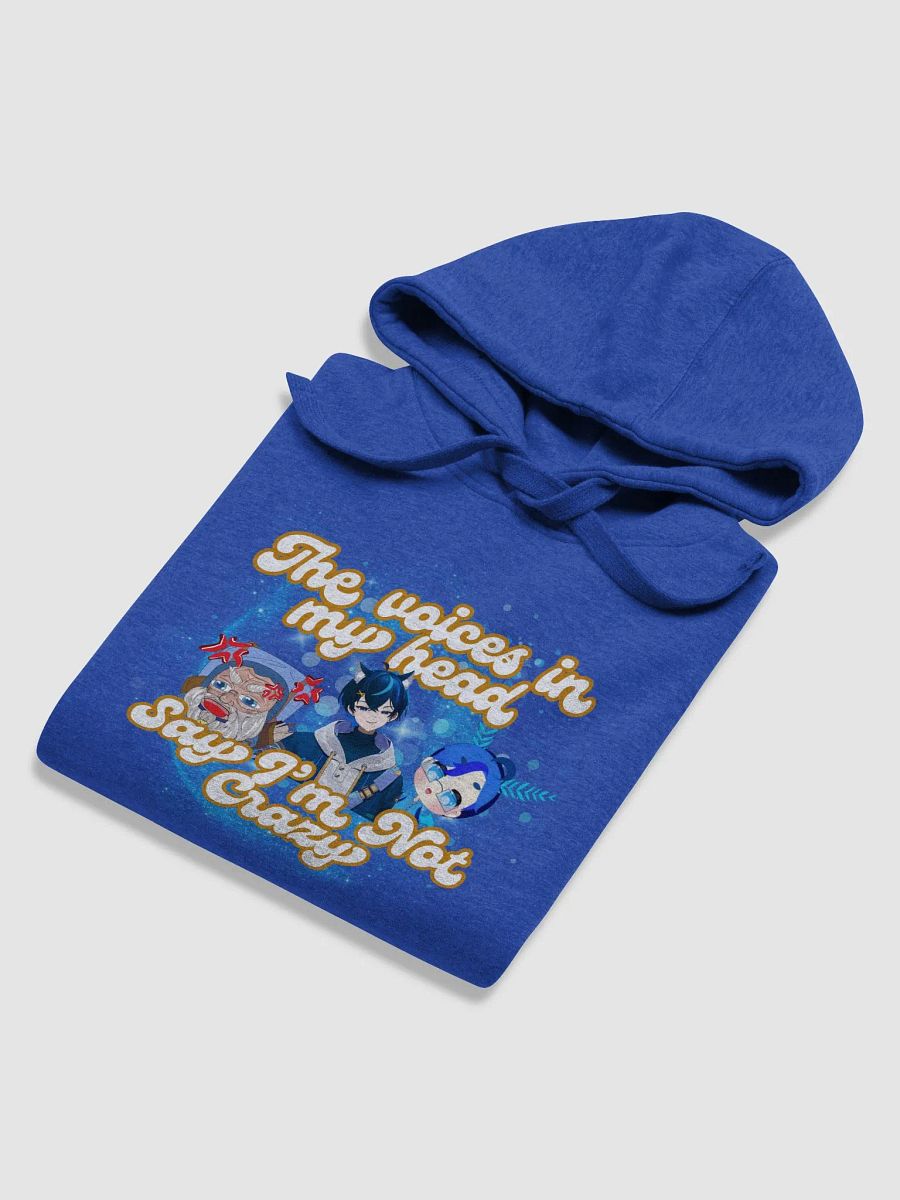 I'm Not Crazy Hoodie product image (24)