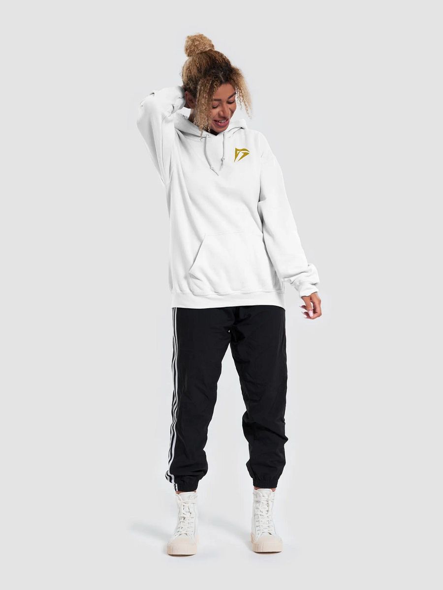 AG Logo Hoodie product image (5)