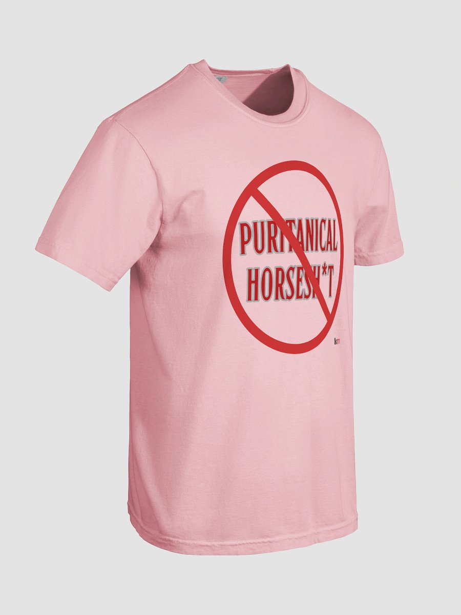 NO Puritanical Dookey LKM Modern Fit Tee product image (6)