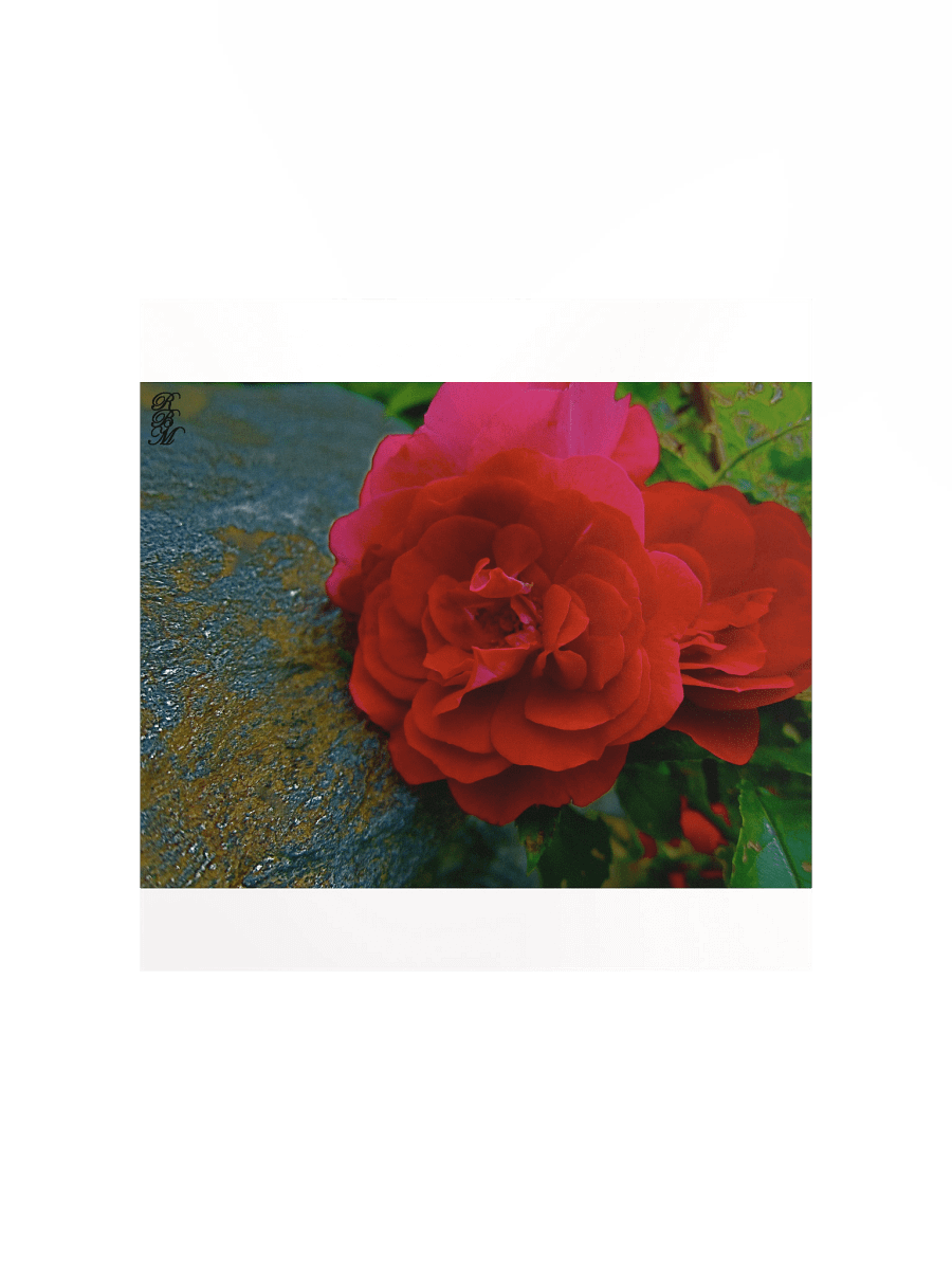 Red Flower product image (1)