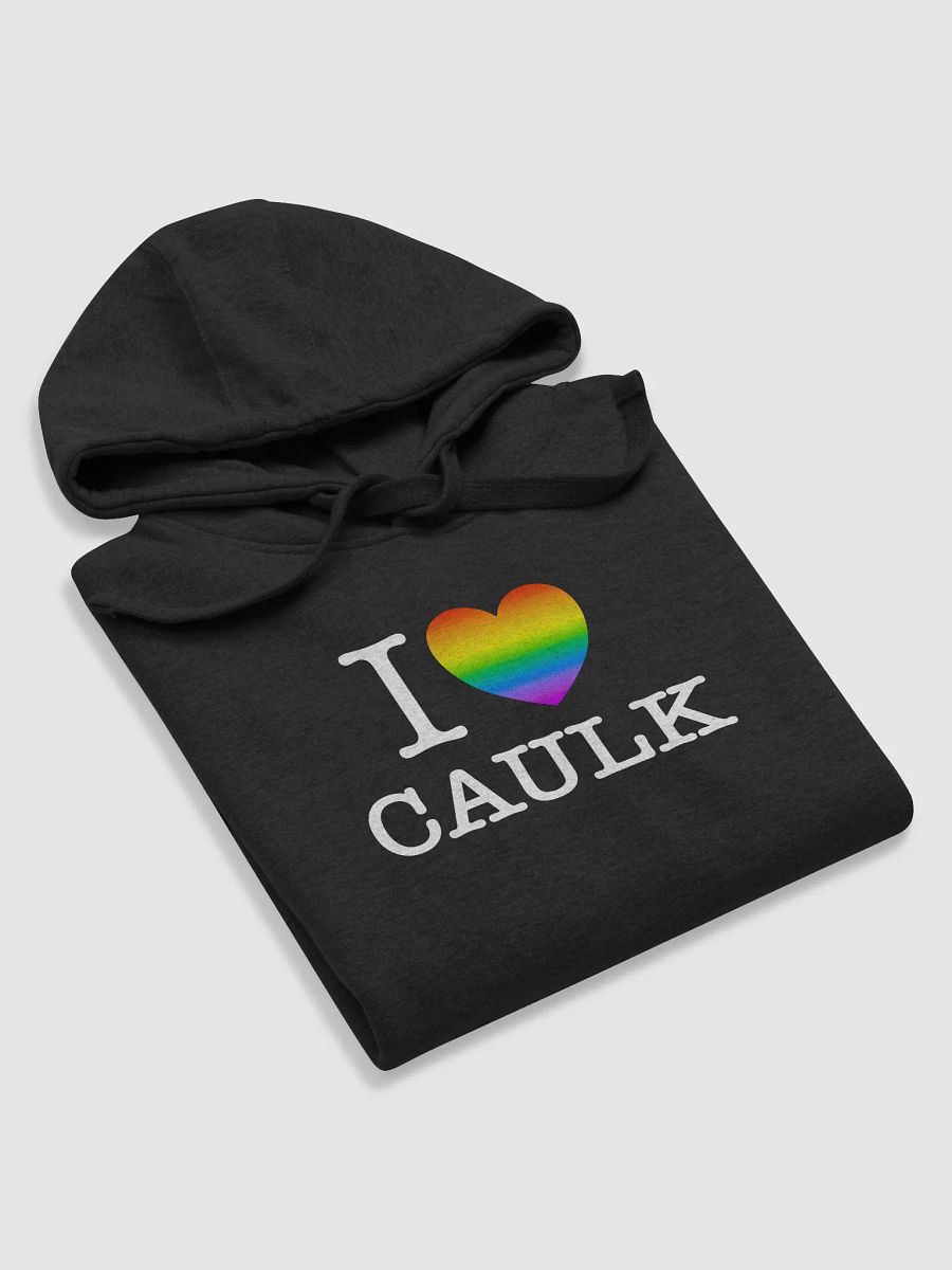 I LOVE CAULK Rainbow / Dark Premium Hoodie product image (4)