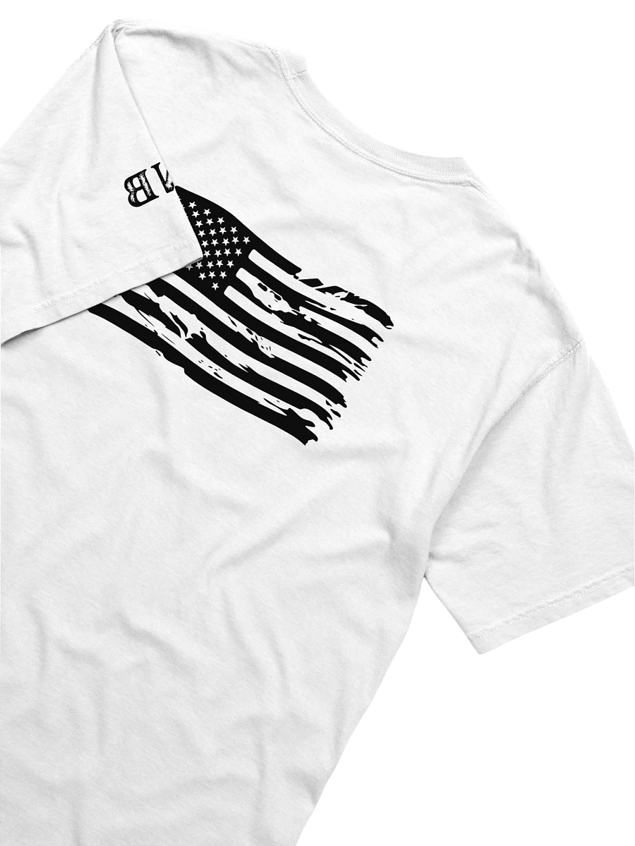 Pro-Democracy Warrior - Back Flag Unisex T-shirt in White product image (4)