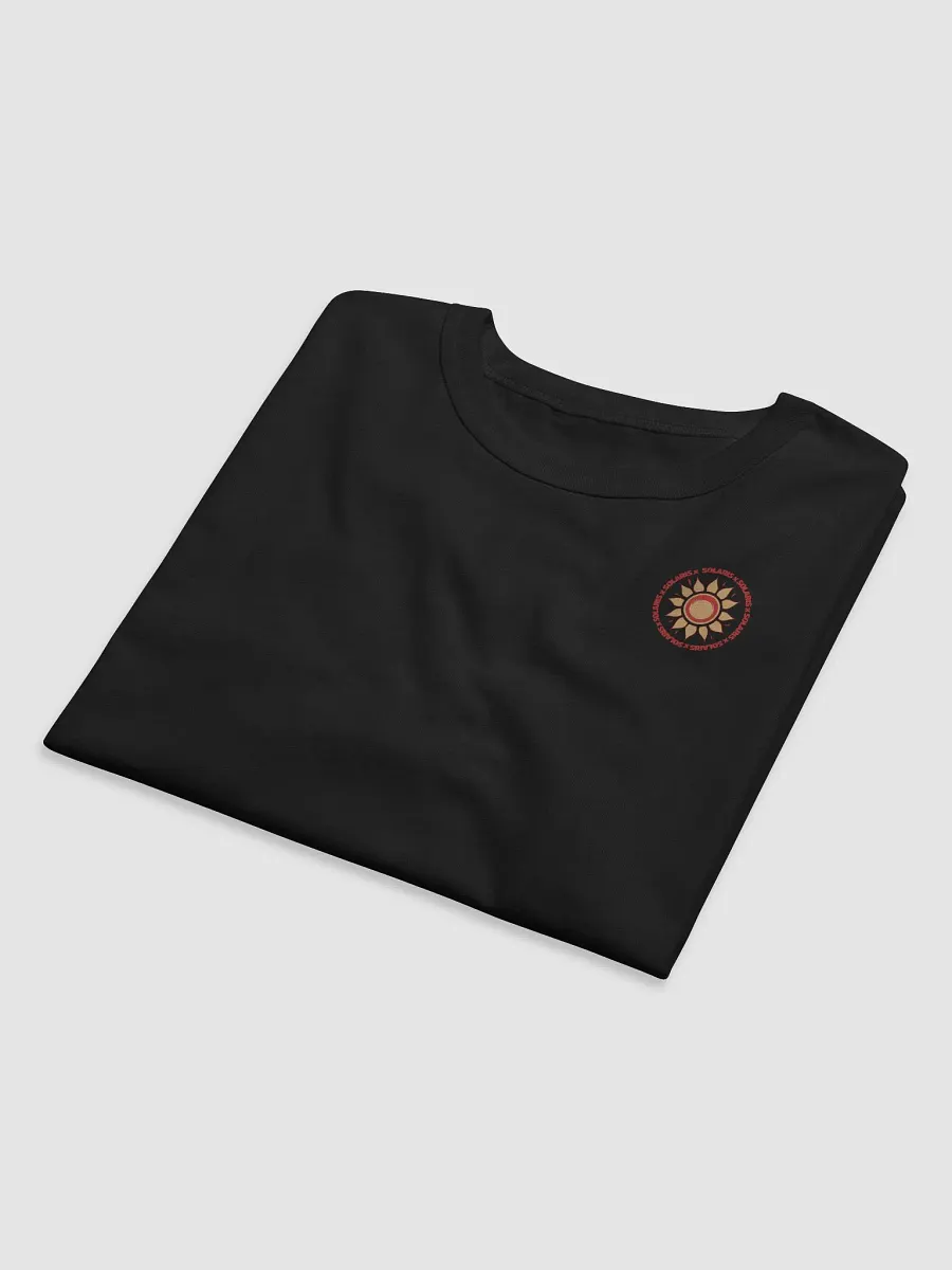 Solaris x Champion Relaxed Fit T-Shirt product image (5)