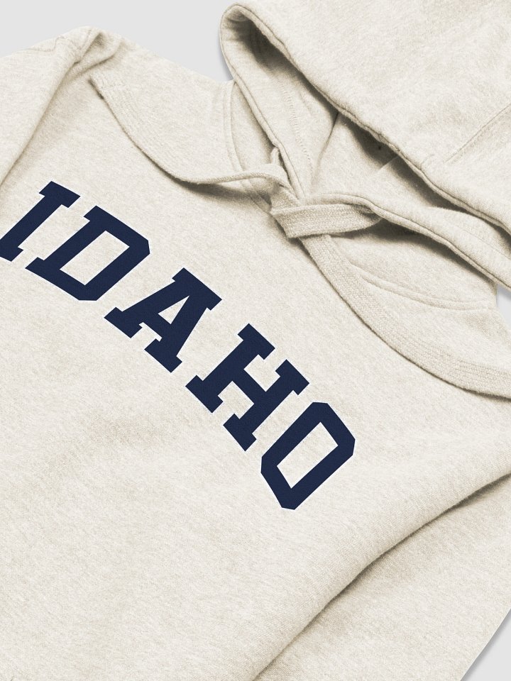 Idaho Vintage Stylish Unisex Premium Hoodie product image (2)