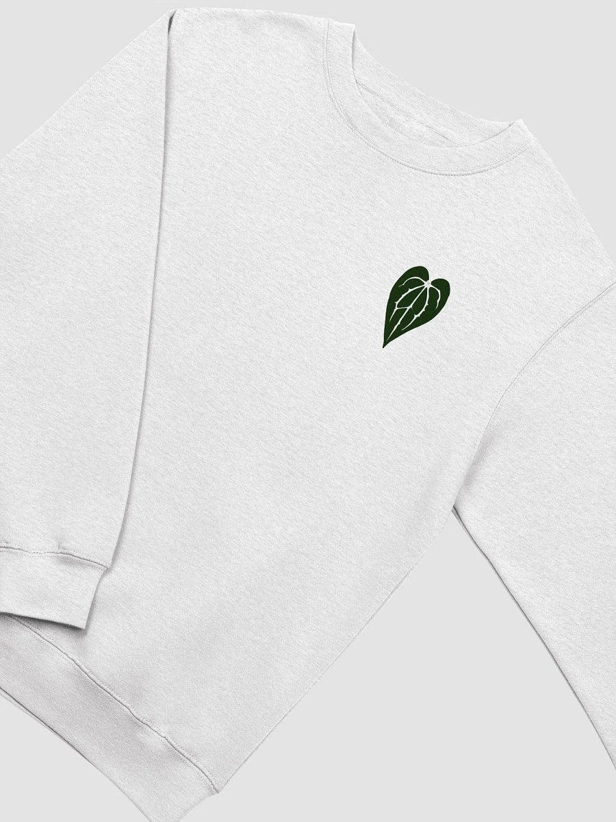 Little Carla Sweatshirt product image (3)