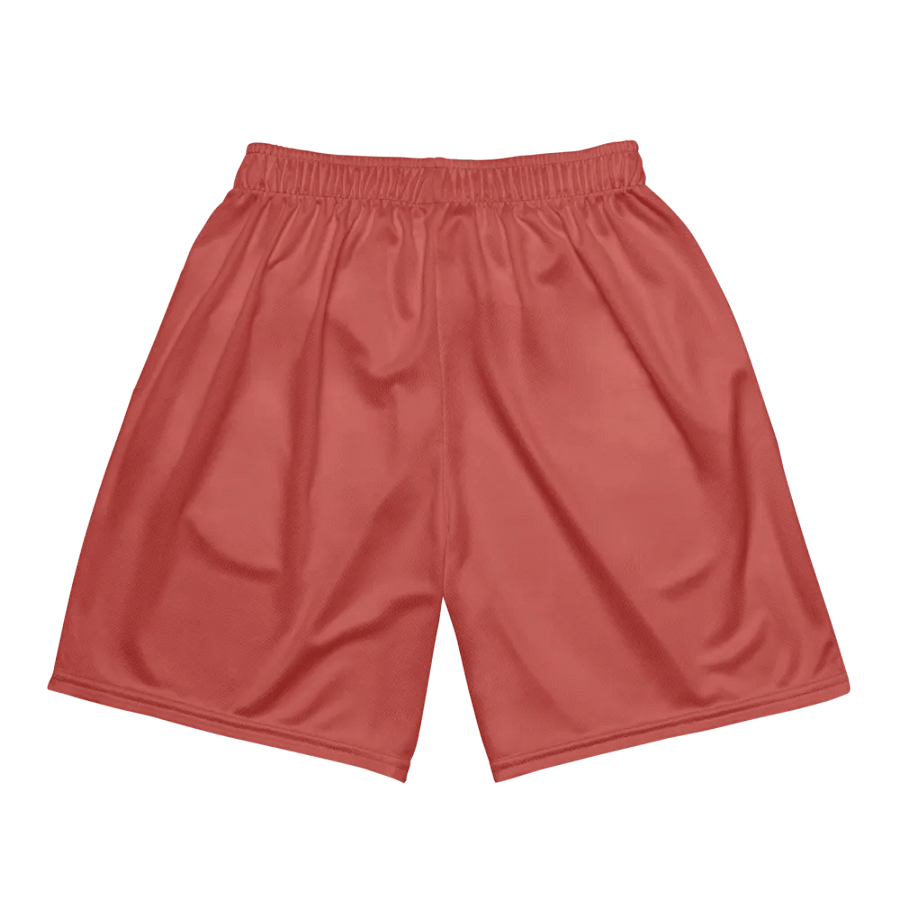 Aries Symbol Recycled Mesh Shorts product image (5)