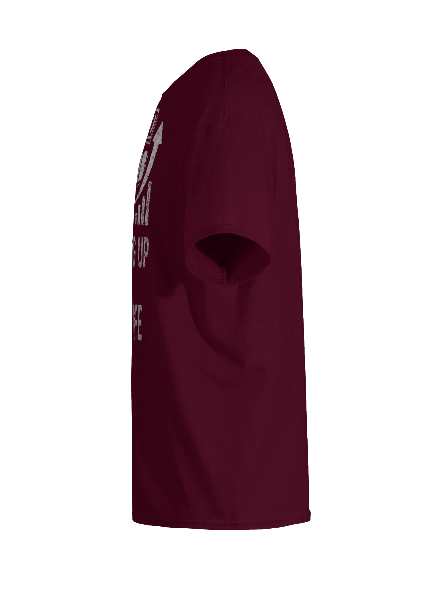 Leveling Up In Real Life - Gamer Motivation T-shirt product image (11)