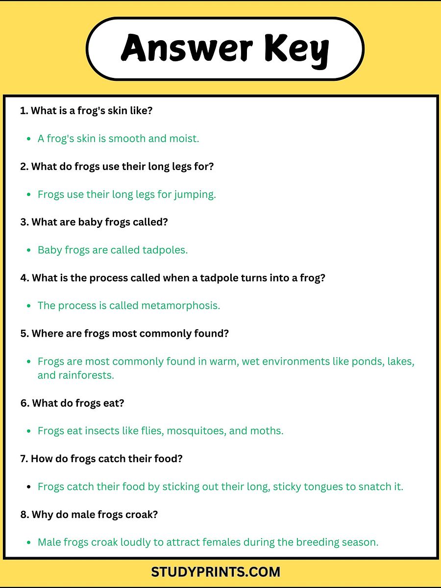 all about frogs reading comprehension worksheets product image (4)