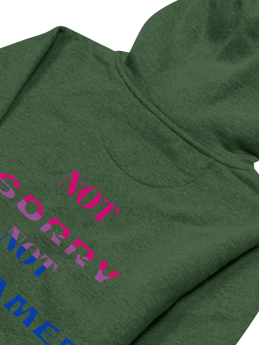 Not Sorry Not Ashamed (Bi Edition) product image (26)