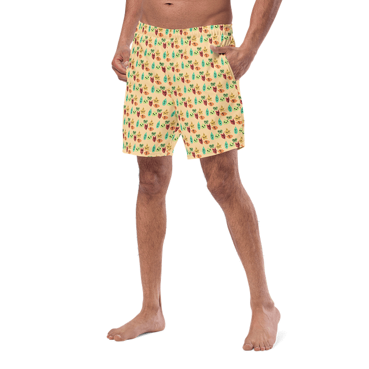 Korok Swim Trunks product image (2)
