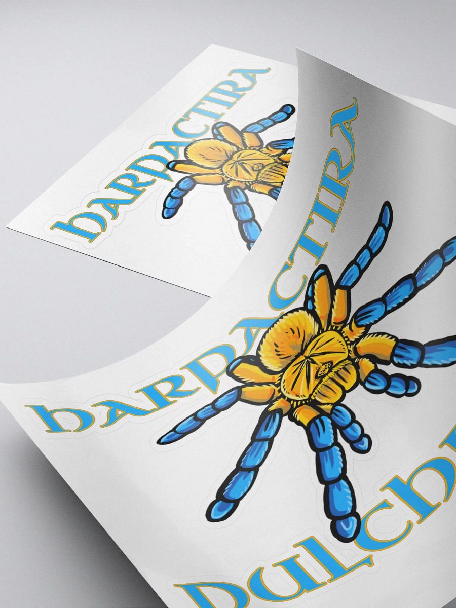 Harpactira pulchripes Sticker product image (4)
