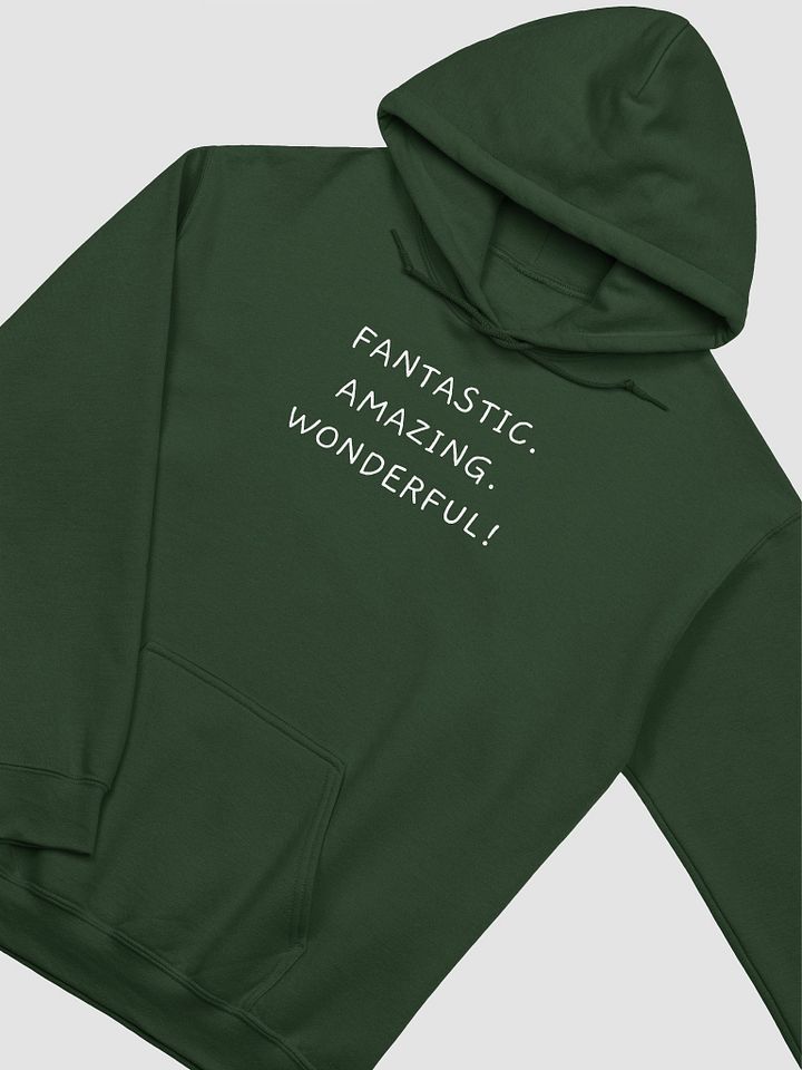 Fantastic Hoodie product image (1)