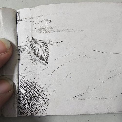 WIP Sketches 🖊 📜

Join the Finch Family!

https://discord.gg/RaJsKCFYmb

.

☕️ 

.

.

#penmanship #art #workinprogress #call...