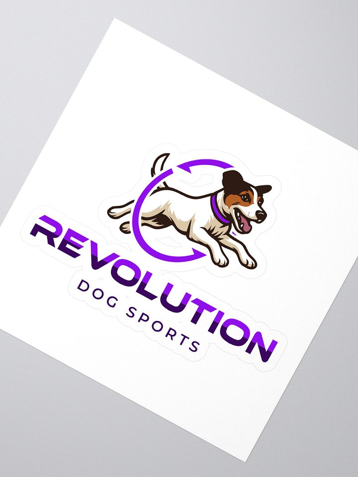 RDS Logo Sticker product image (2)