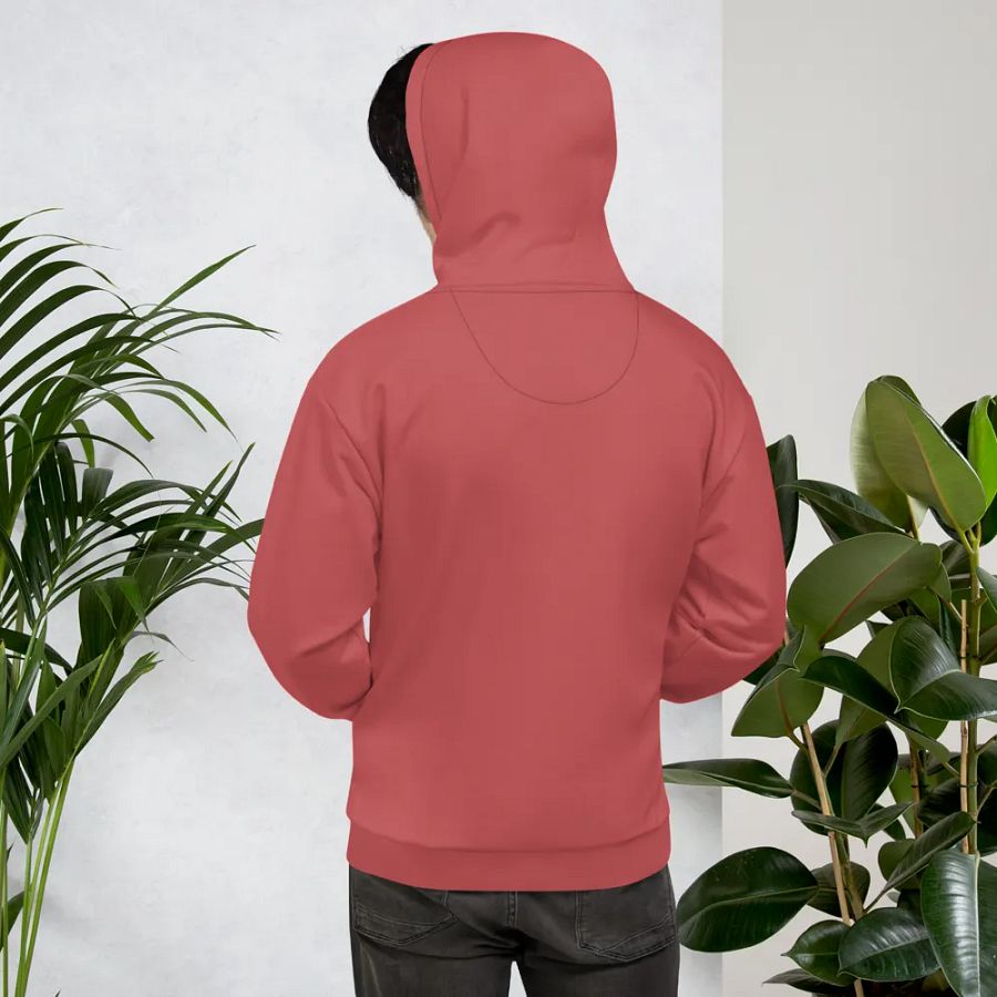 Plain Brick Red Soft Summer Unisex Recycled Polyester Heavyweight Premium Hoodie by Treasure Pie product image (11)