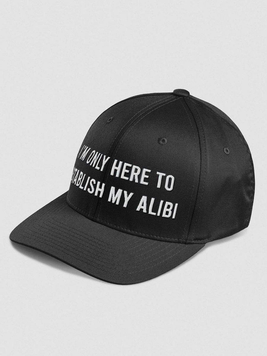 Establish My Alibi - Hat product image (11)