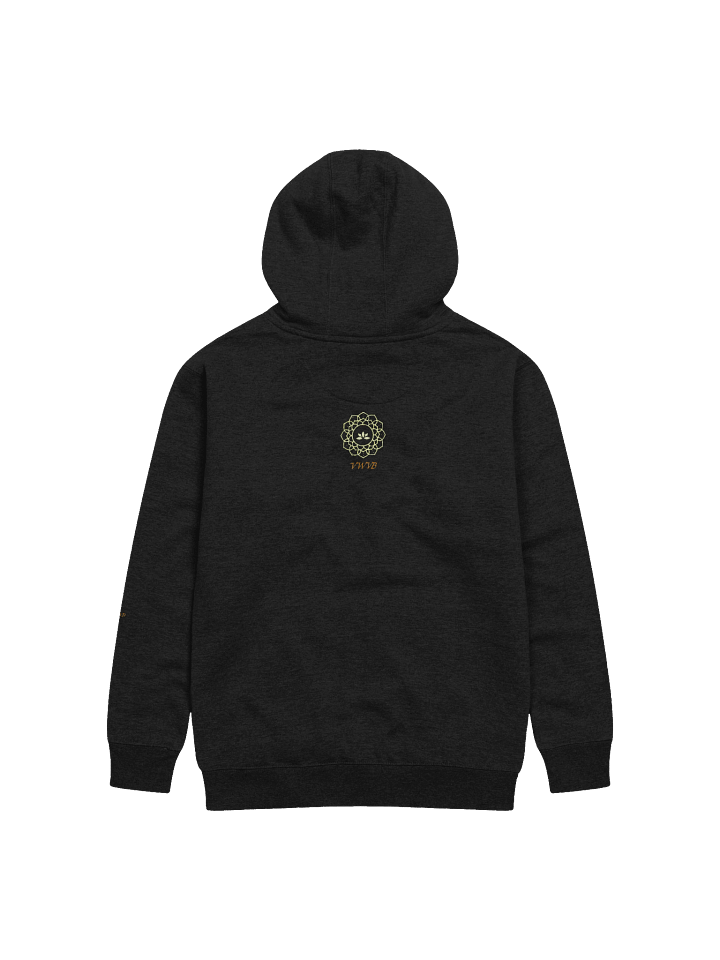 Hopeful Anchor Embroidered Hoodie product image (2)
