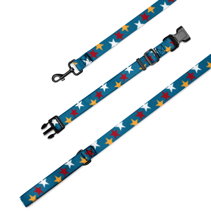 The Bonesdale Pet Collar & Leash product image (2)
