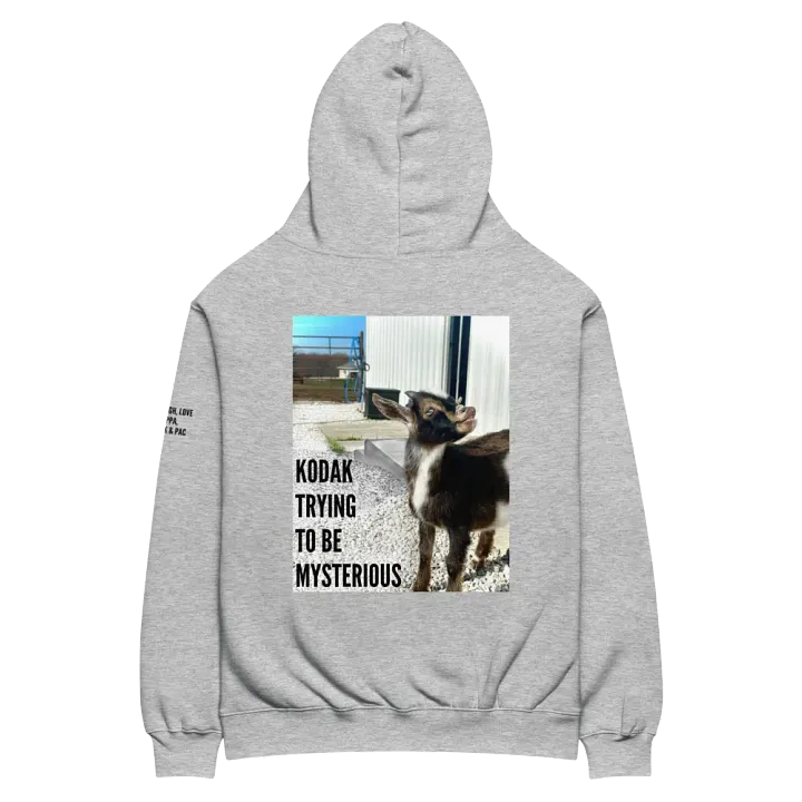 Oversized Hoodie ft. Kodak product image (1)
