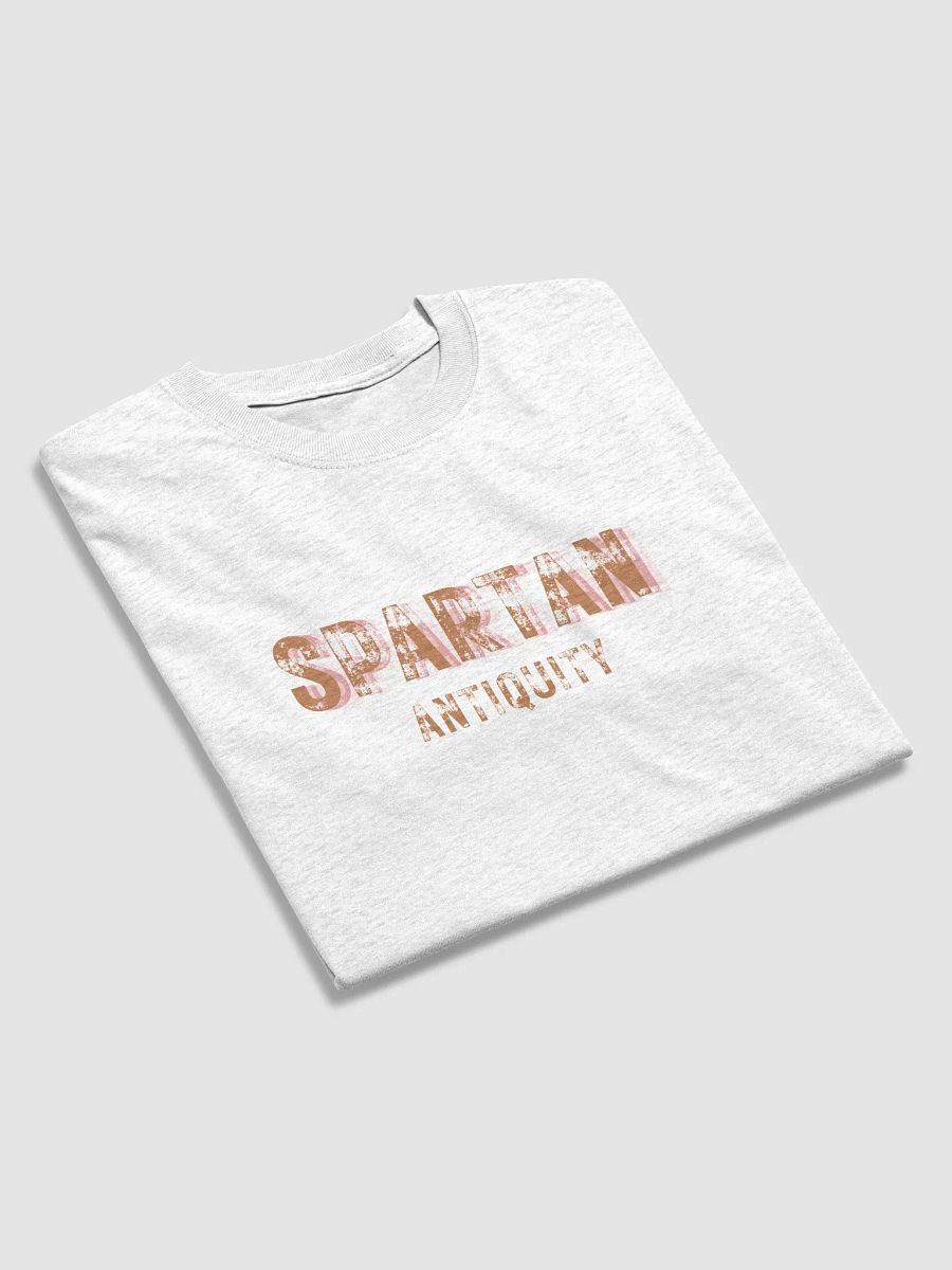 Spartan Antiquity Distressed Tee product image (27)
